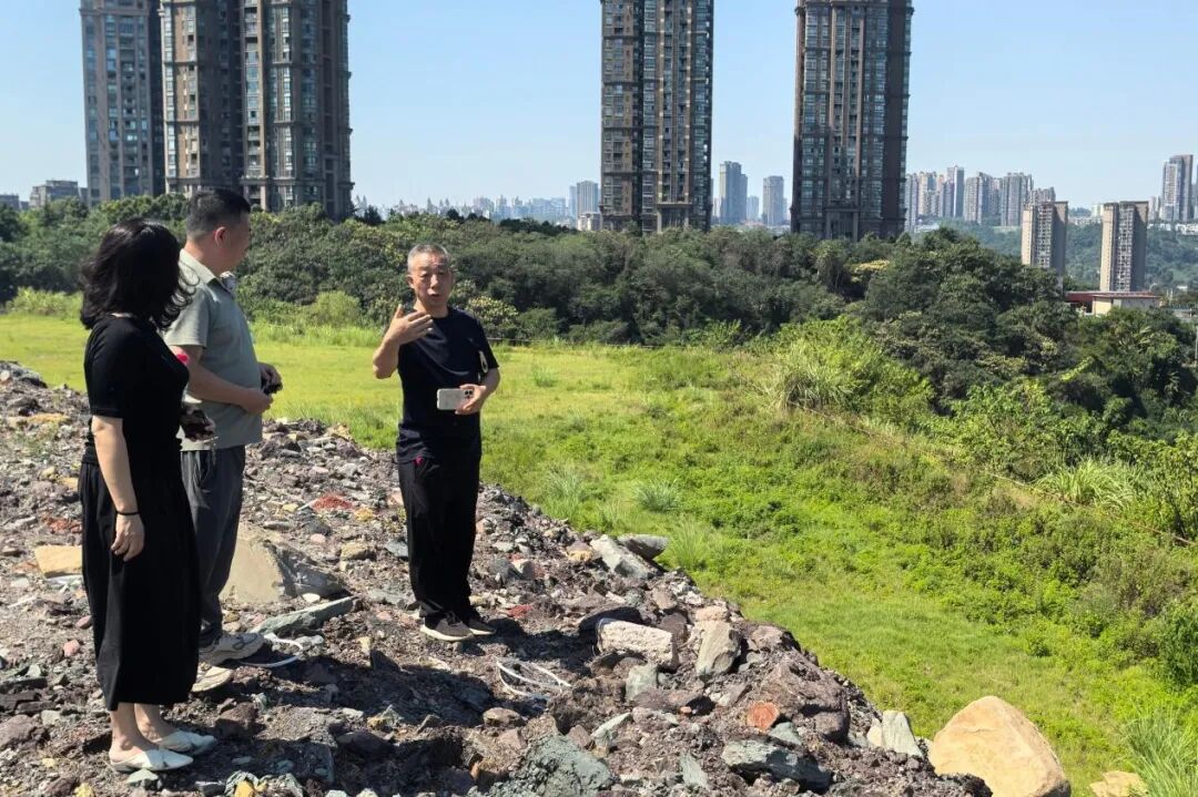 检查现场图1.jpg