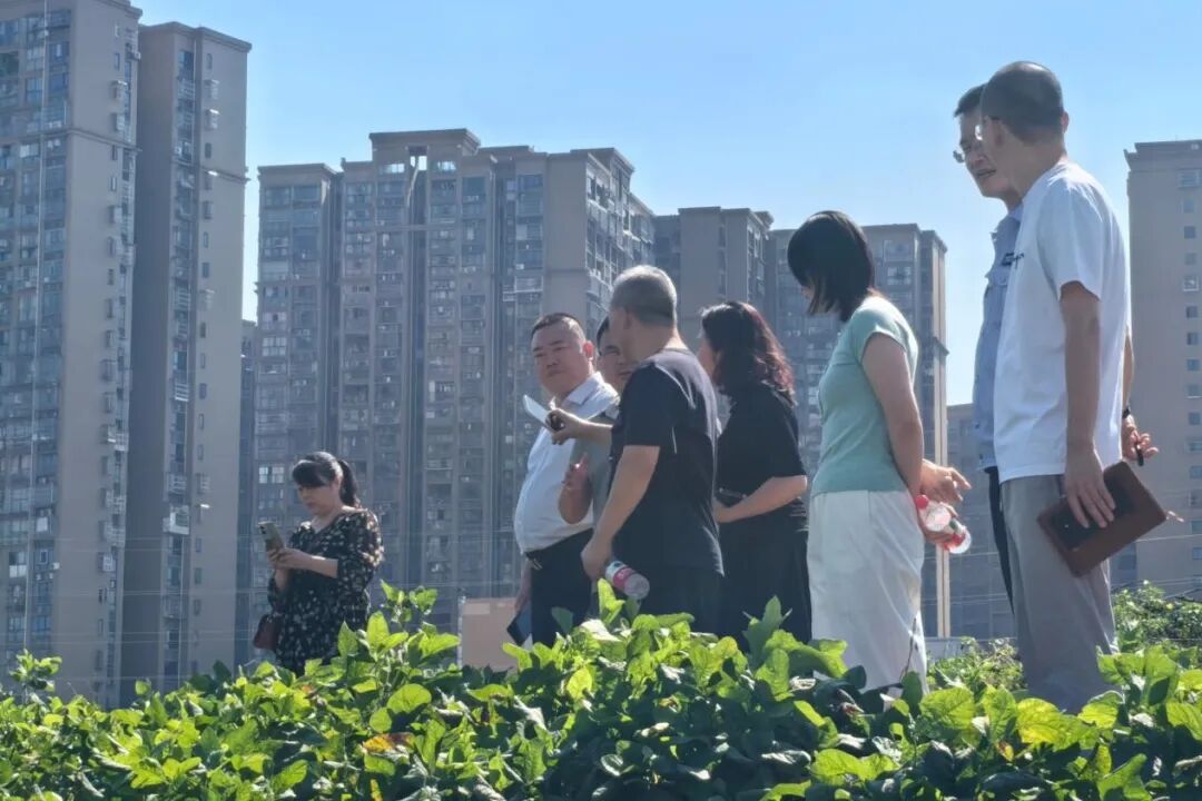 检查现场图.jpg